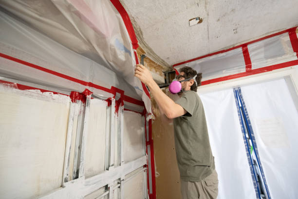 Best Asbestos and Lead Testing During Mold Inspection  in Conning Towers Nautilus Park, CT