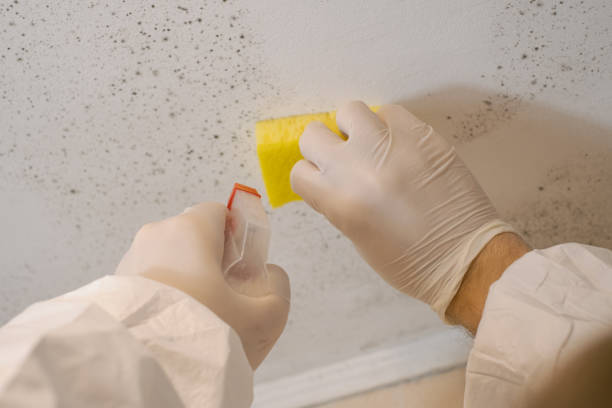 Asbestos and Lead Testing During Mold Inspection in Conning Towers Nautilus Park, CT