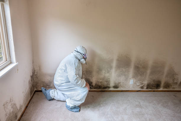 Best Commercial Mold Inspection  in Conning Towers Nautilus Park, CT
