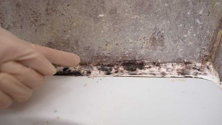 Best Mold Removal for HVAC Installations  in Conning Towers Nautilus Park, CT
